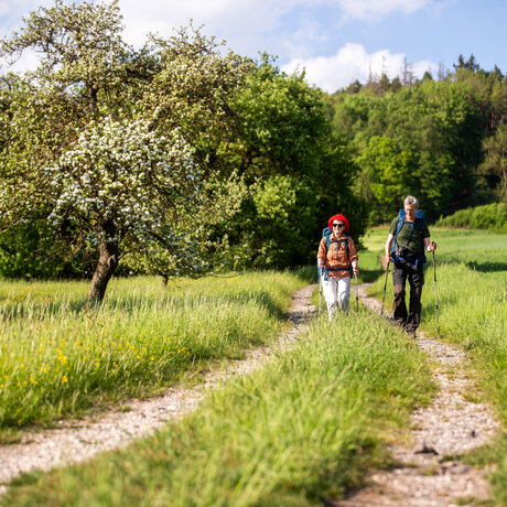 Ein paar mit Rucksack und Wanderausrüstung ist in einer grünen Landschaft unterwegs. 