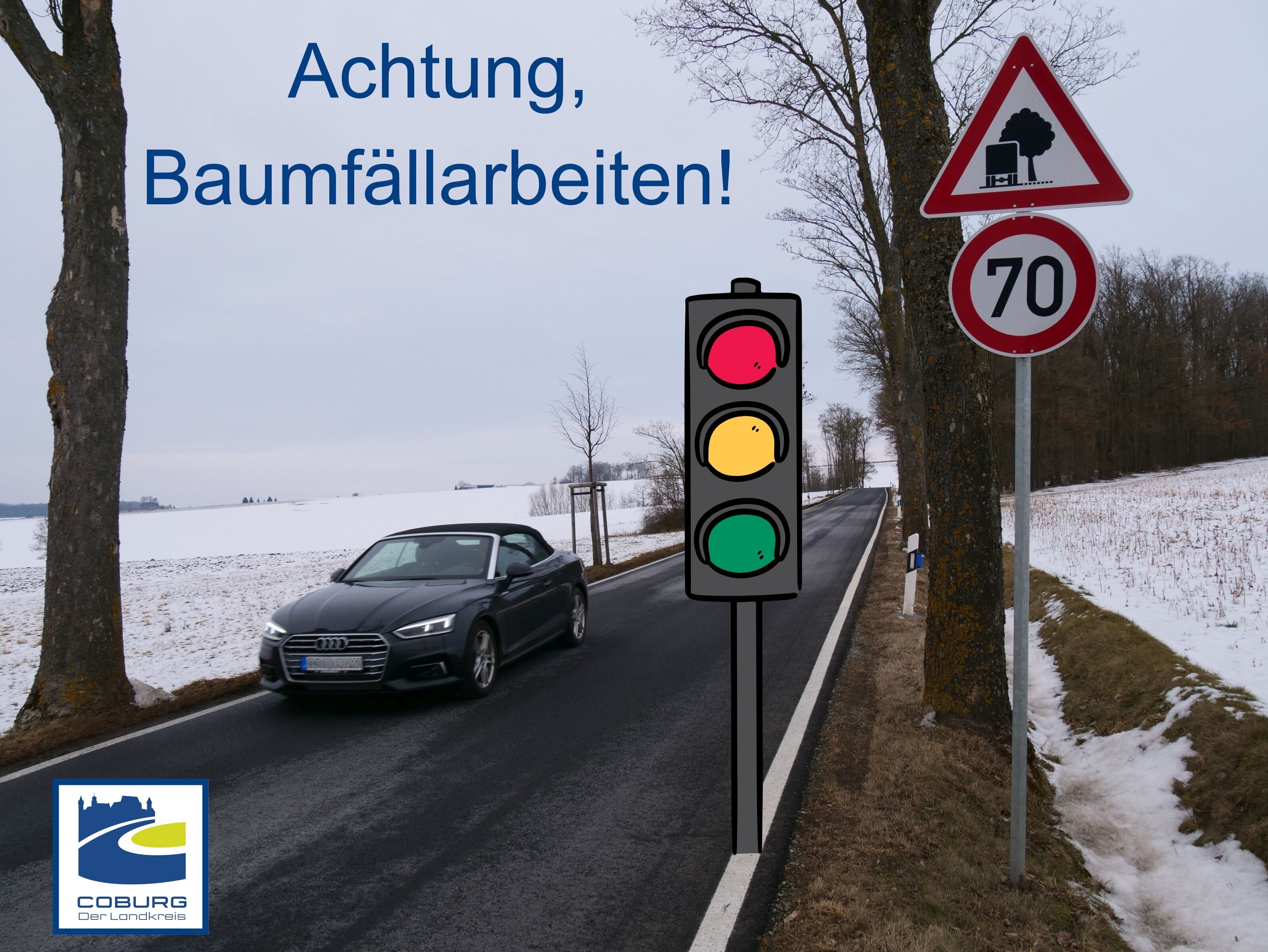 Ein Auto fährt auf einer Straße durch eine Allee. Per Bildarbeitung ist eine gezeichnete Ampel eingefügt.