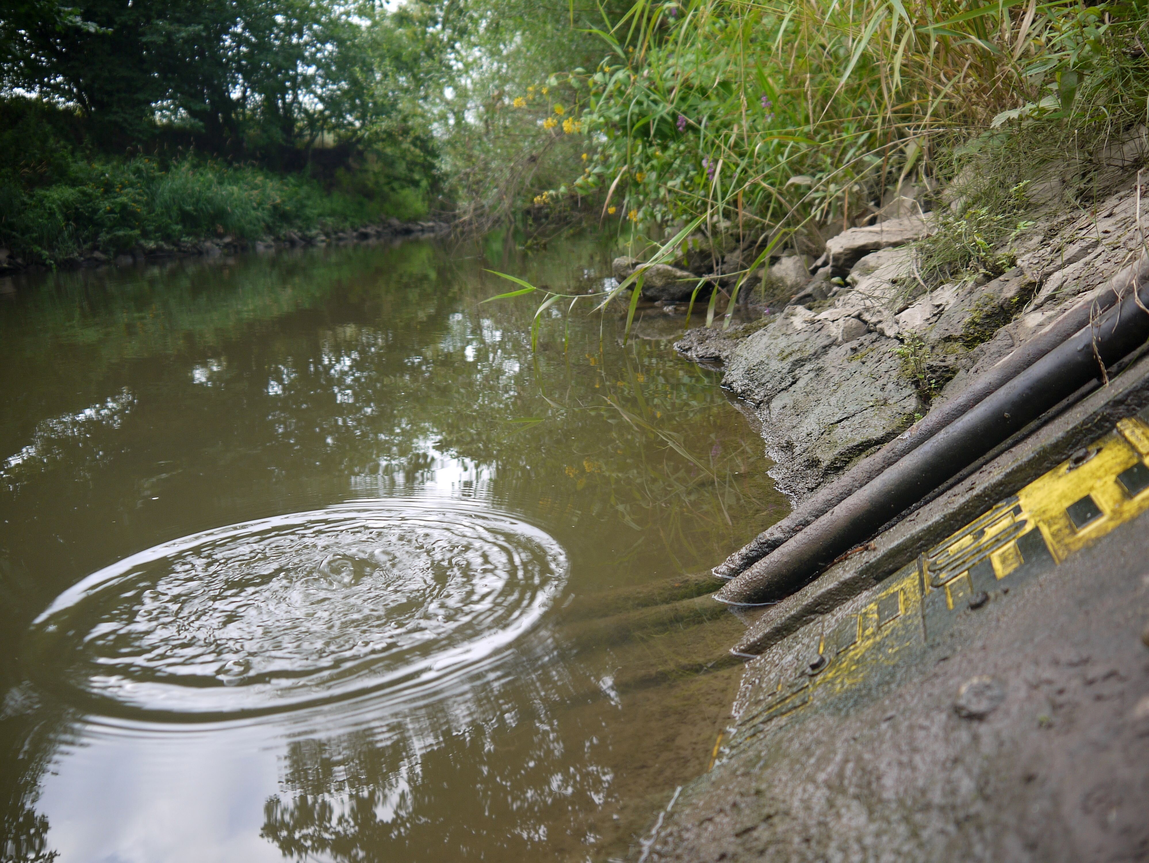 Aktuelles Bild der Itz: Man sieht den Fluss, rechts ist der gelbe Maßstab des Pegels zu sehen. Der Wasserstand wird bei unter einen Meter vierzig angezeigt.
