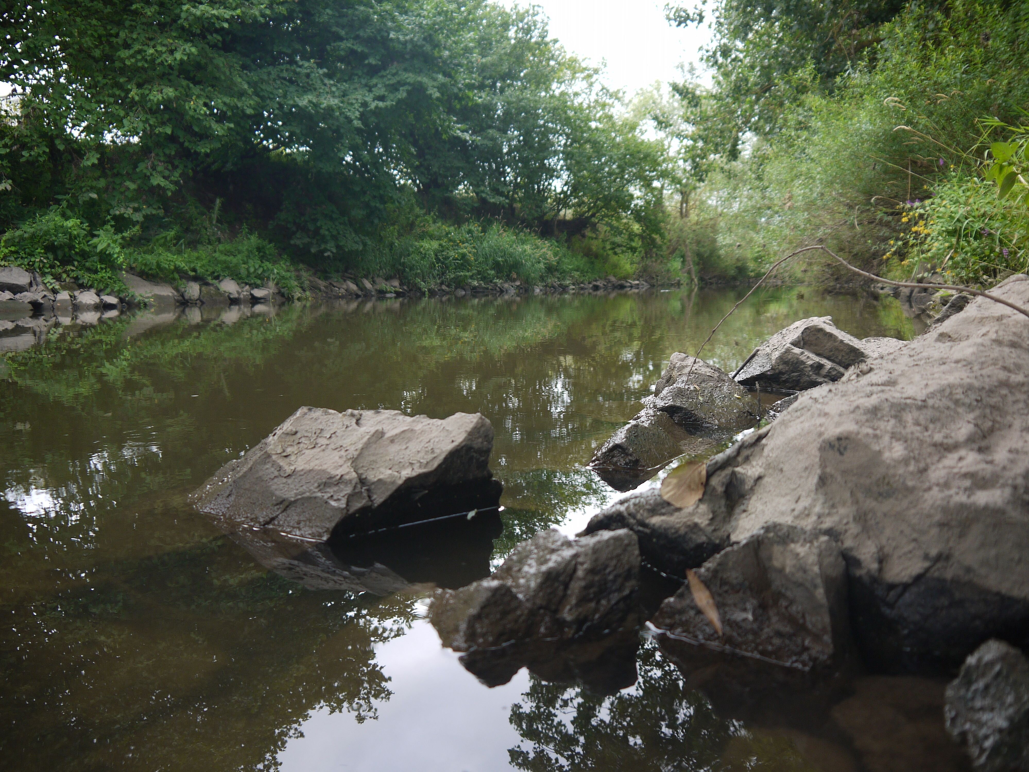 Aktuelles Bild der Itz: Man sieht den Flusslauf und große schmutzige Steine, die aus dem Wasser ragen.