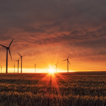 Landschaft mit mehreren Windrädern vor dem Sonneruntergang 