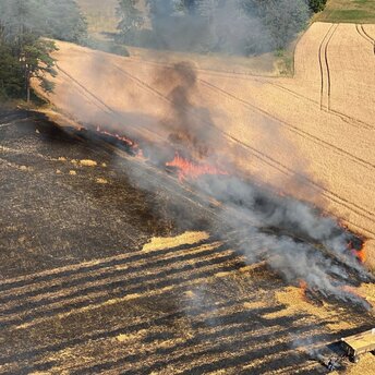 Eine brennende Ackerfläche, von der eine große Rauchwolke aufsteigt. An der Seite des Fotos sind Feuerwehrfahrzeuge zu sehen.