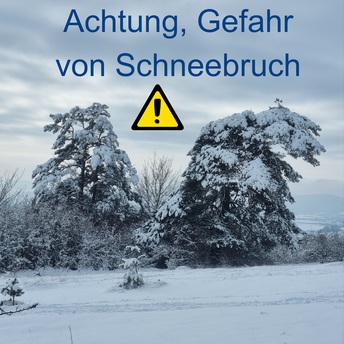 Zwei Bäume, die sich in einer Winterlandschaft unter einer großen Schneelast beugen. Dazwischen steht ein Schriftzug: Achtung, Gefahr, von Schneebruch.