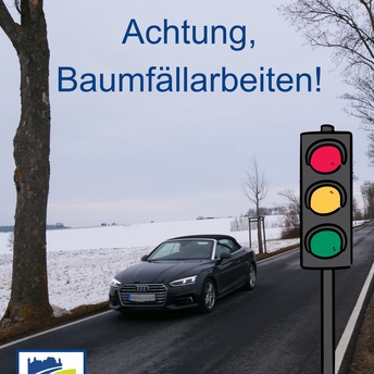 Ein Auto fährt auf einer Straße durch eine Allee. Per Bildarbeitung ist eine gezeichnete Ampel eingefügt.