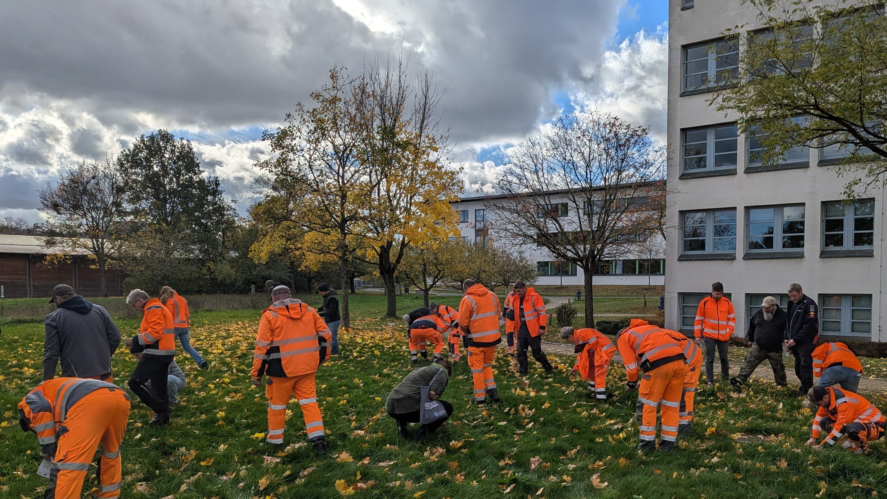 Gut ein Dutzend Männer in orangefarbener Arbeitskleidung auf einer Wiese vor dem Landratsamt Coburg. Mehrere von ihnen suchen am Boden nach seltenen Pflanzen.