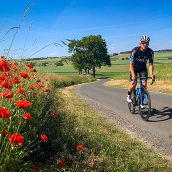 Ein Radfahrer fährt auf einem Feldweg neben einem rot blühendem Mohnfeld.